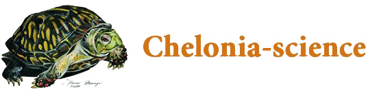 Chelonia science